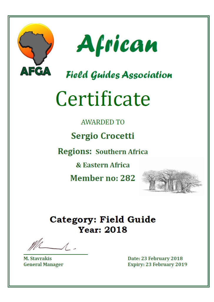 certificato-guida-safari